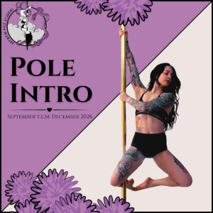 Pole Intro lessenreeks - september t.e.m. december 2026