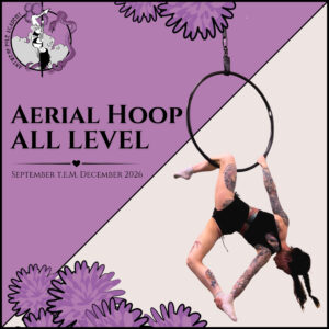 Aerial Hoop All Level Lessenreeks – september t.e.m. december 2026