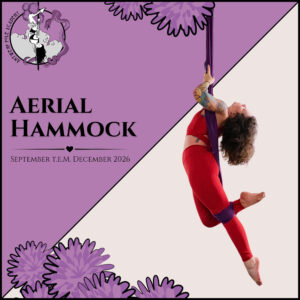 Aerial Hammock Lessenreeks – september t.e.m. december 2026