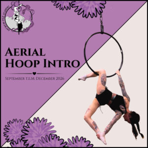 Aerial Hoop Intro Lessenreeks – september t.e.m. december 2026